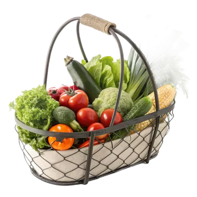 Imagen PNG para descargar